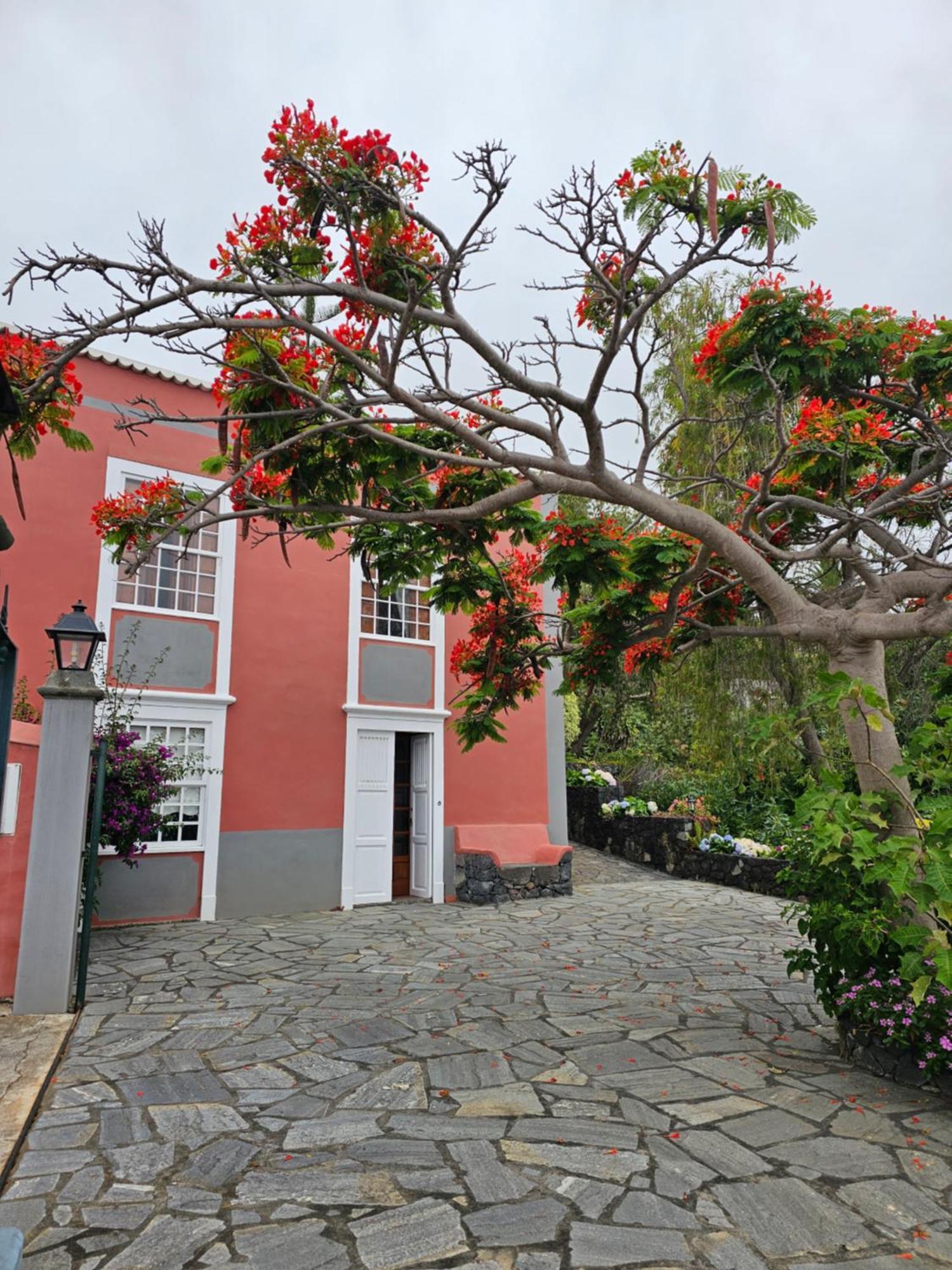 Corral De Payo Grande Guest House Breña Baja Exterior foto
